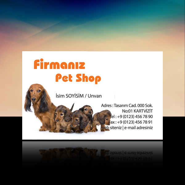 Pet Shop Kartvizit 13