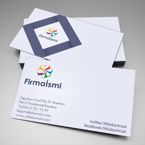 özel kartvizit Eflatun Zemın Mor Logo