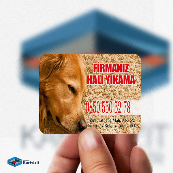 Halıcı Magnet