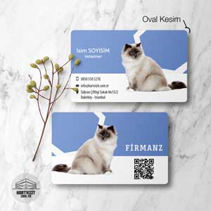 Pet Shop kartvizit Maviş