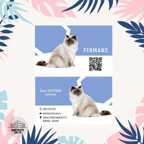 Pet Shop kartvizit Maviş