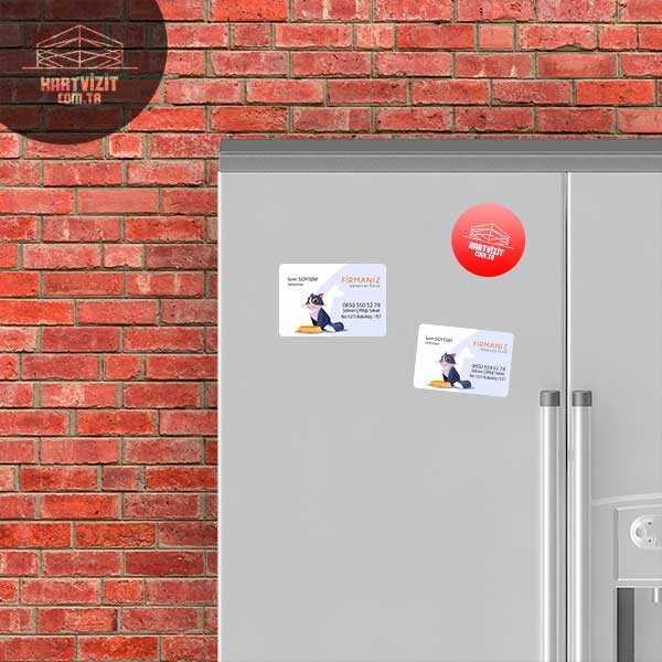 Veterine Hekim Magnet