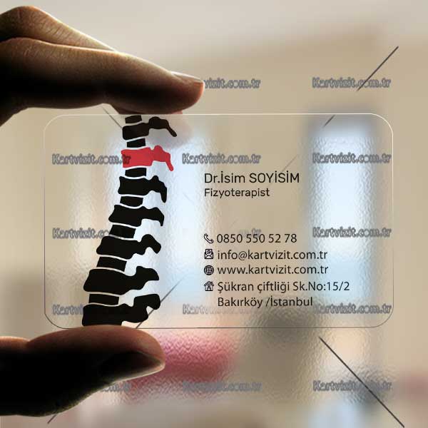 Şeffaf kartvizit Sinir Hücreleri